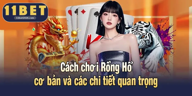Cách chơi Rồng Hổ cơ bản và các chi tiết quan trọng
