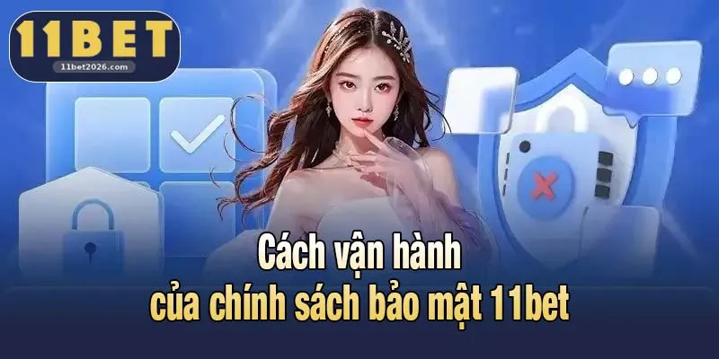 Cách vận hành của chính sách bảo mật 11bet