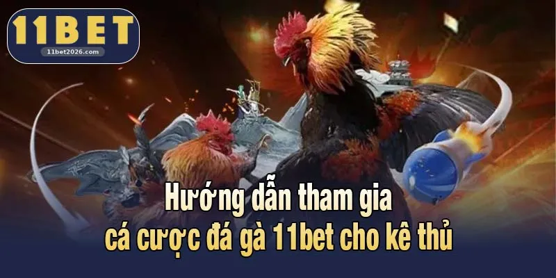 Hướng dẫn tham gia cá cược đá gà 11bet cho kê thủ