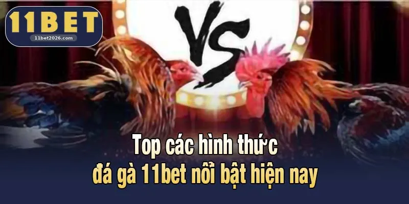 Top các hình thức đá gà 11bet nổi bật hiện nay